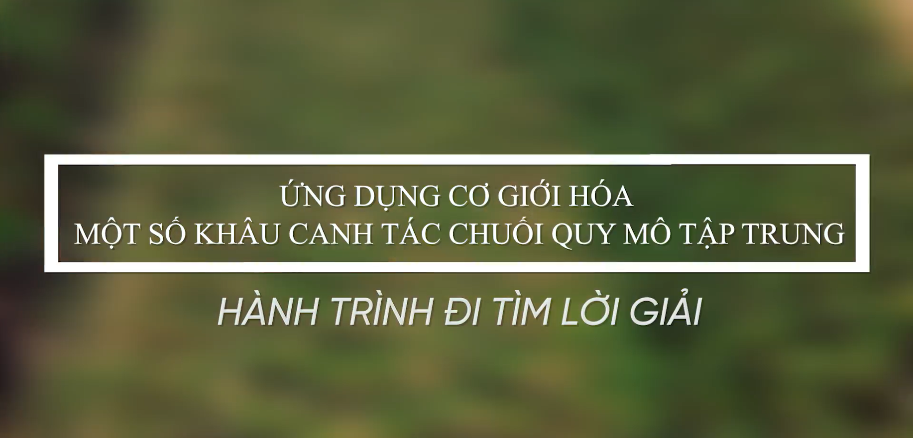 Cơ giới hóa trồng, chăm sóc và thu hoạch chuối